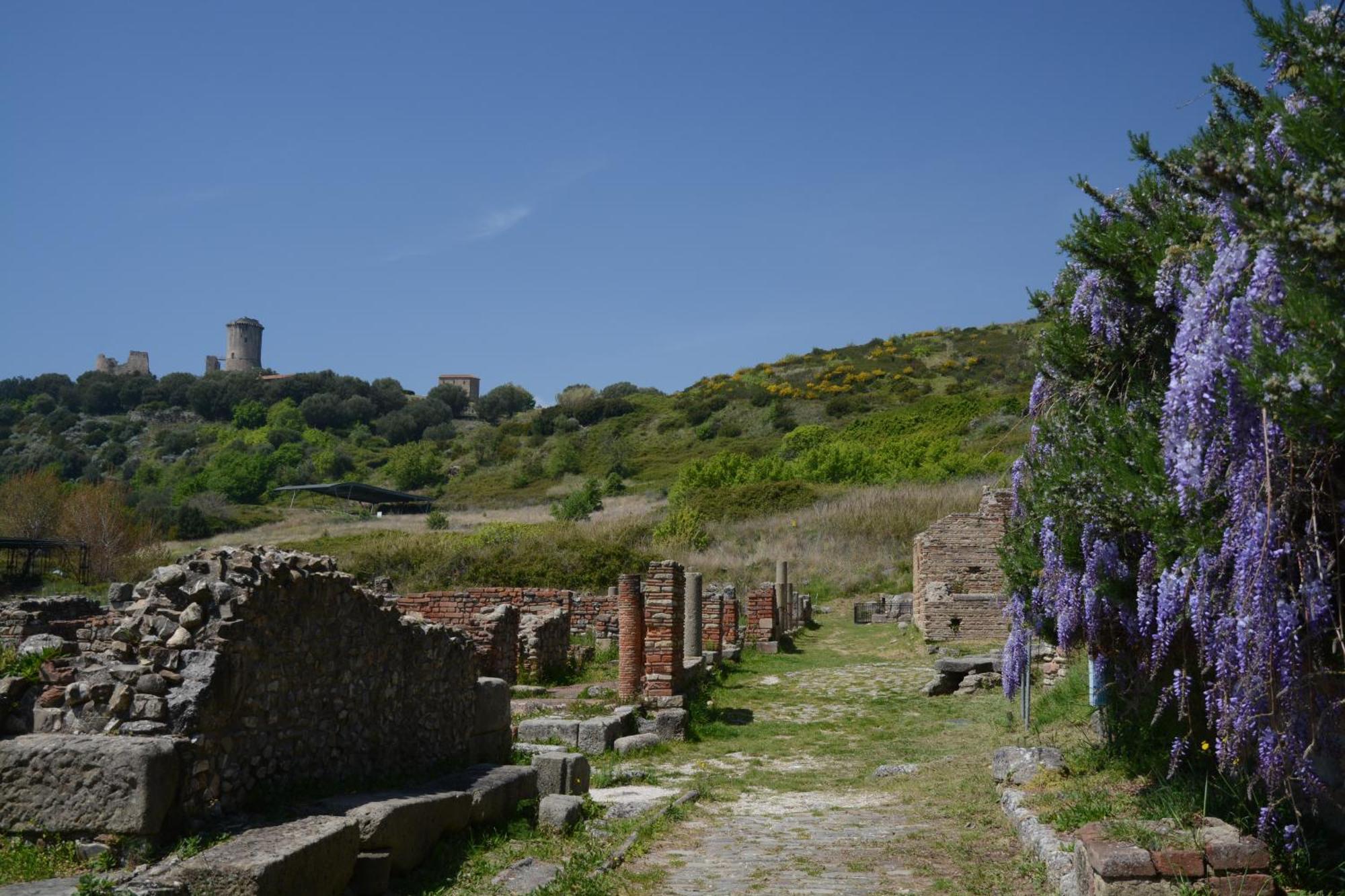 Agriturismo La Petrosa Ceraso Экстерьер фото