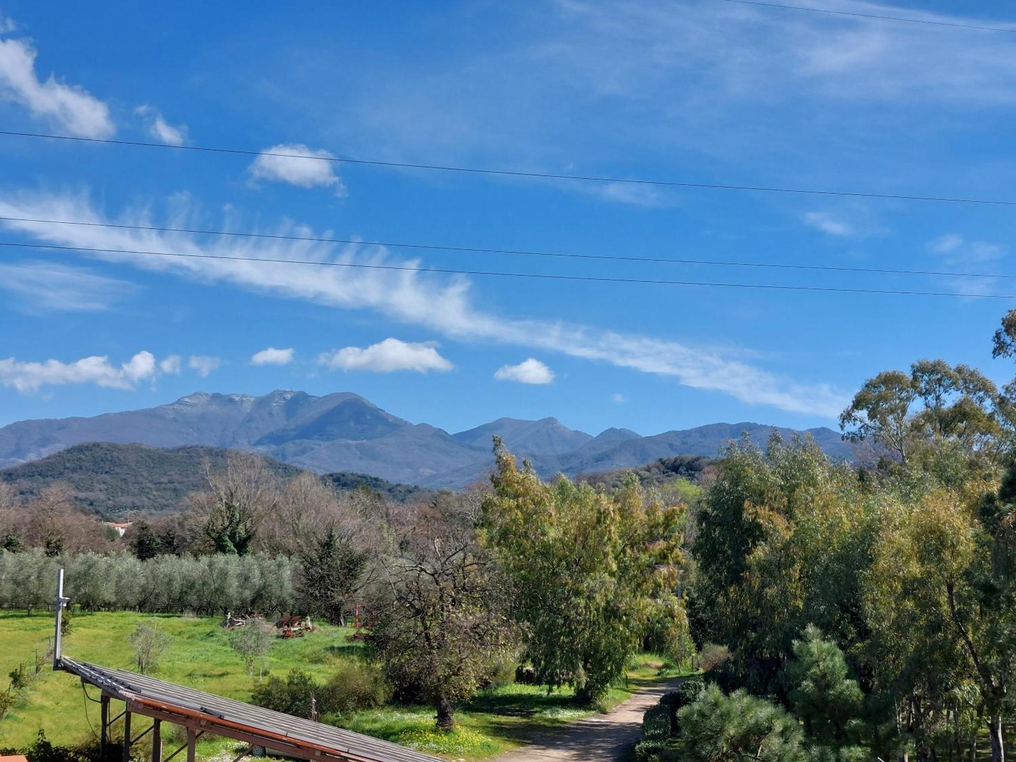 Agriturismo La Petrosa Ceraso Экстерьер фото